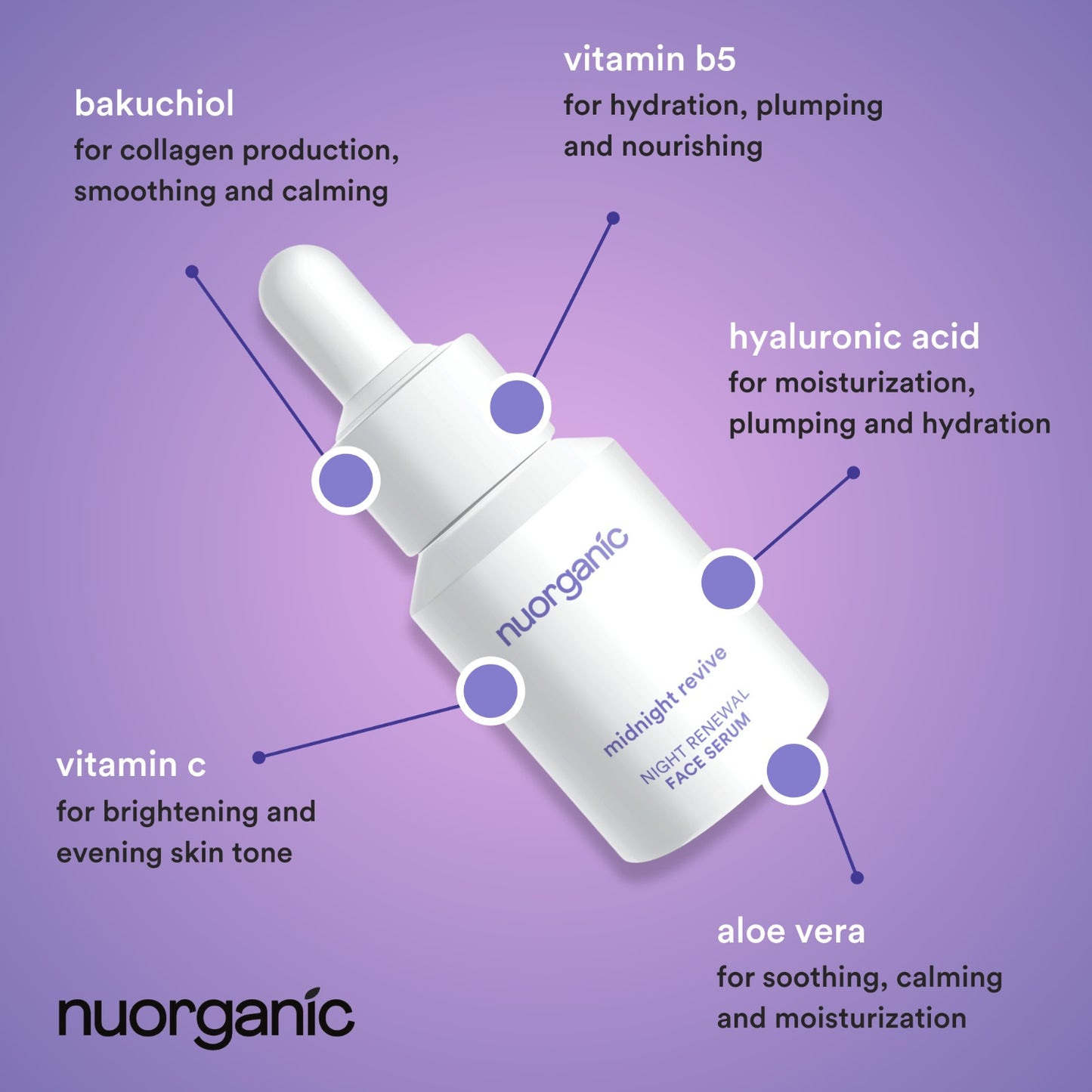 Midnight Revive - Bakuchiol Serum