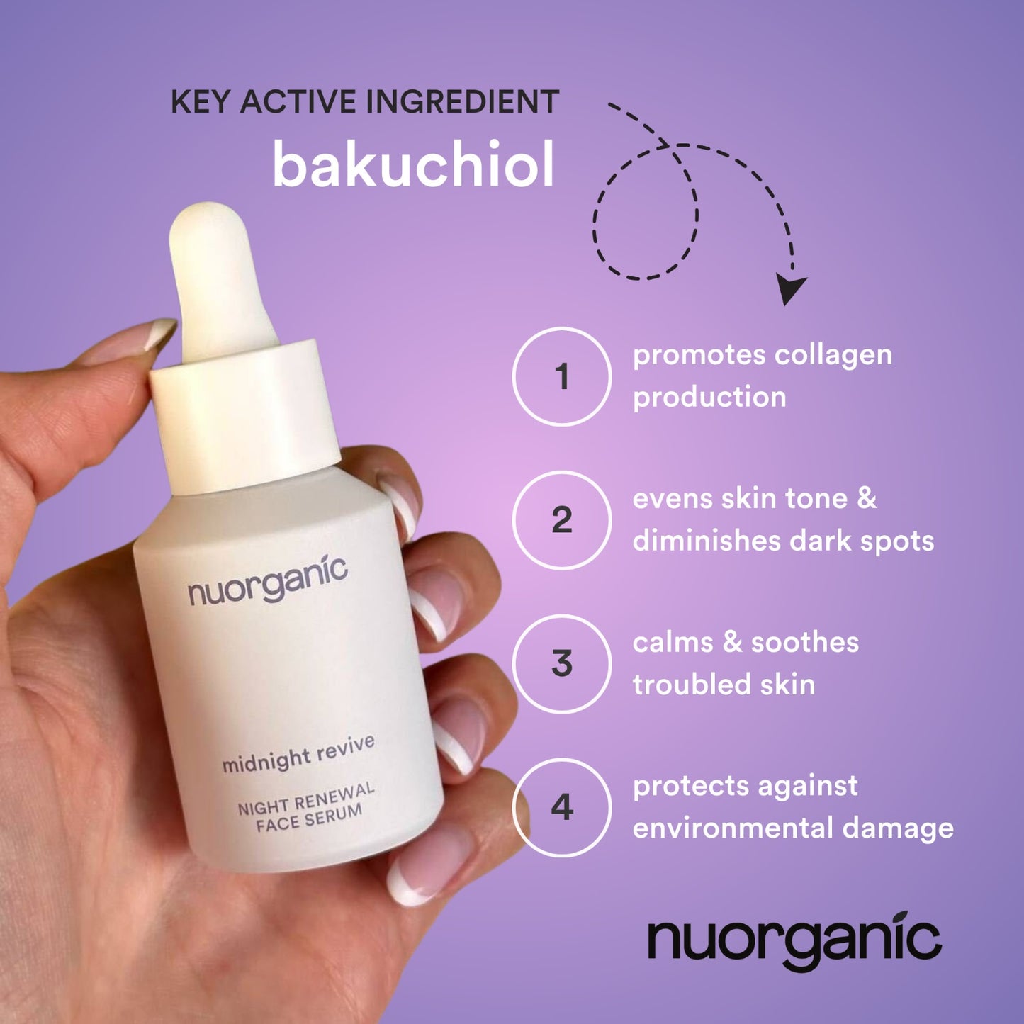 Midnight Revive - Bakuchiol Serum