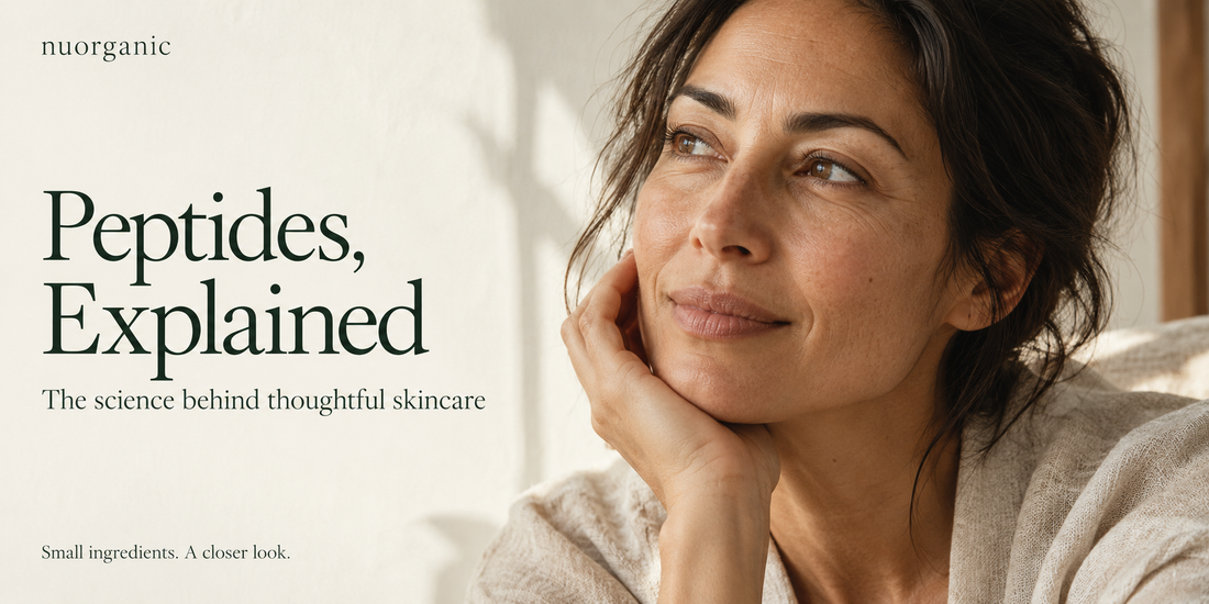 Peptides, Explained: Small Ingredients with a Thoughtful Role in Skincare
