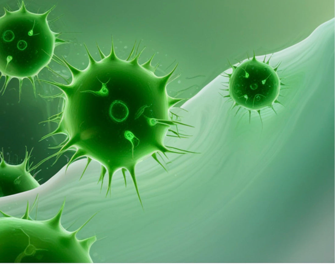 NuOrganic Phytocellular Science: The Benefits of Plant Stem Cells in Cosmetics