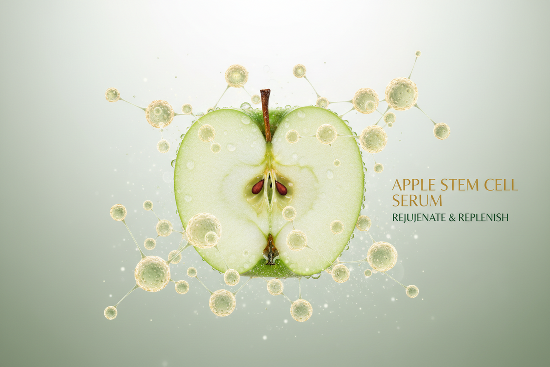 Apple Stem Cell Conditioned Media in Skincare
