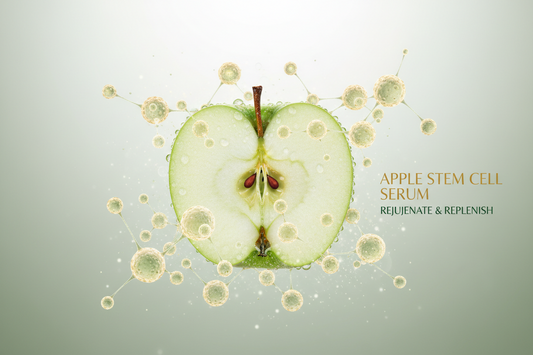 Apple Stem Cell Conditioned Media in Skincare