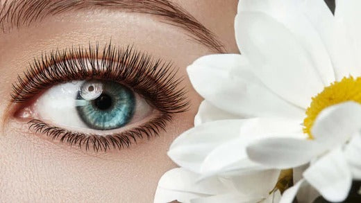 EYELASH 101- The Science of Growing Longer, Thicker Lashes