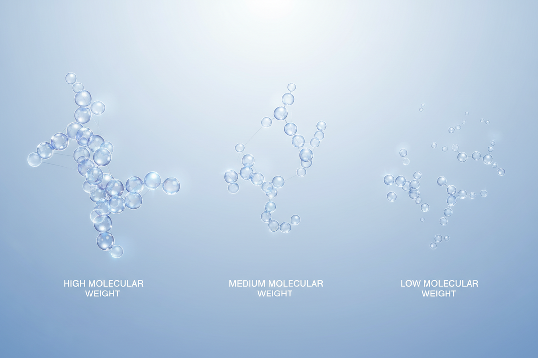 How Hyaluronic Acid Works at Different Molecular Weights — Understanding Modern Hydration Science