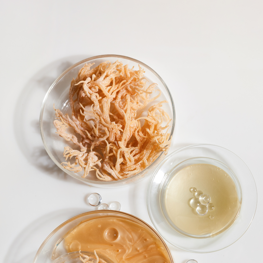 Rejuvenate Your Skin: The Benefits of Irish Sea Moss in Skincare